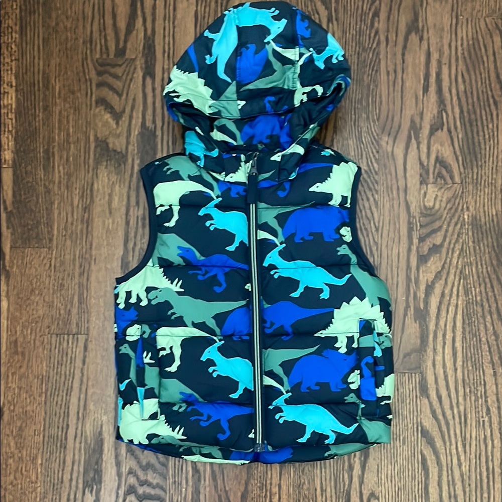 Dinosaur Print Hooded Vest